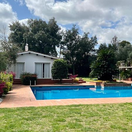 Villette Aldobrandeschi Urban Oasis Vacation Homes Rome Bagian luar foto