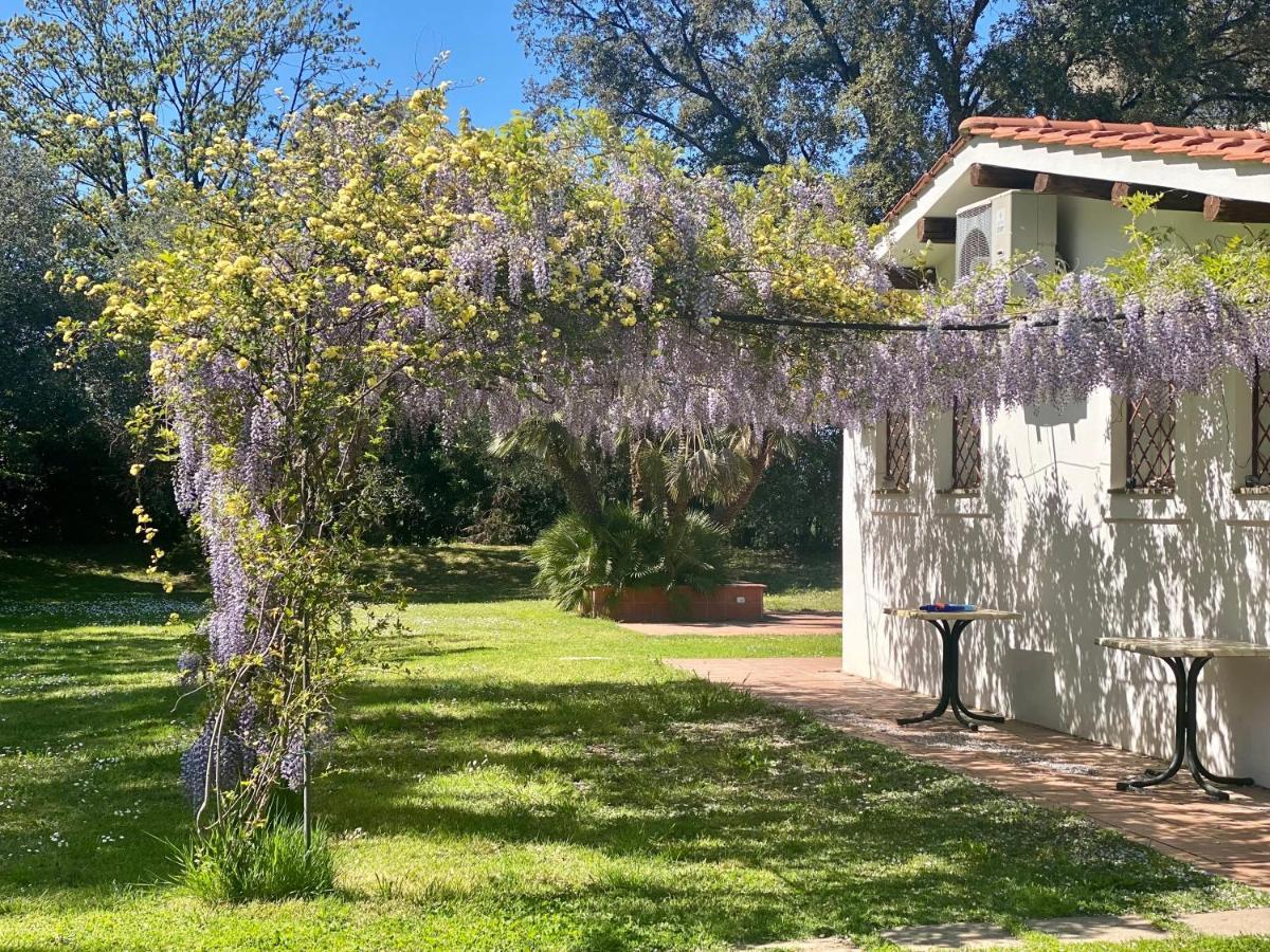 Villette Aldobrandeschi Urban Oasis Vacation Homes Rome Bagian luar foto