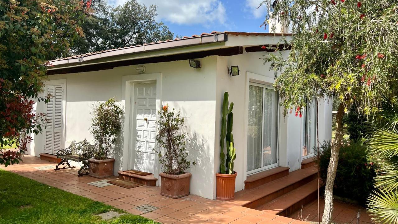 Villette Aldobrandeschi Urban Oasis Vacation Homes Rome Bagian luar foto
